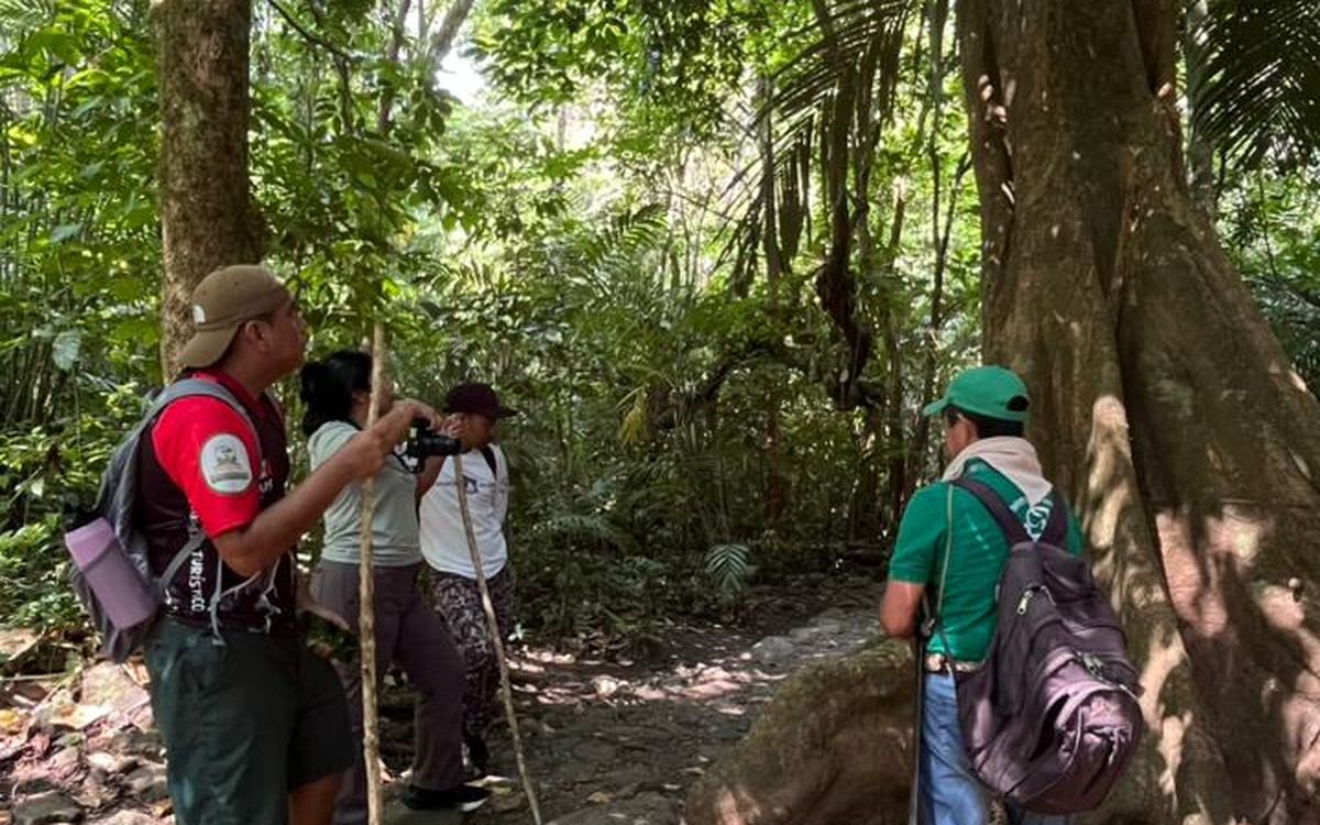 Anolis Ecoturismo Comunitario
