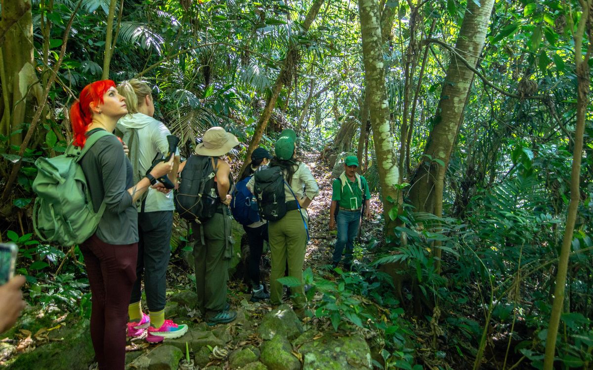 Anolis Ecoturismo Comunitario