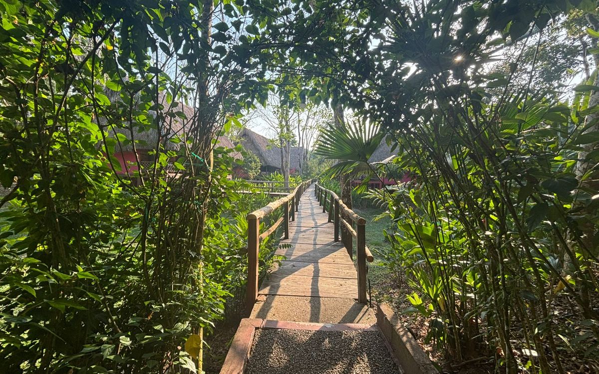 Las Guacamayas Ecolodge